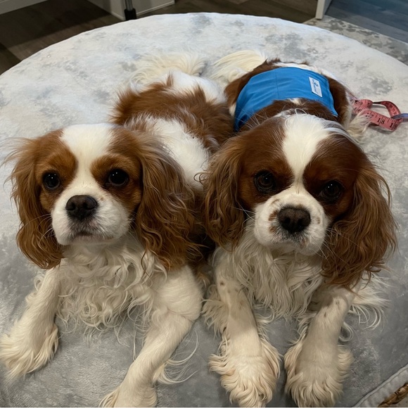 Meet your Posher, Katherine - Picture 5 of 8